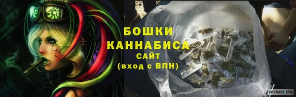 PSILOCYBIN Медногорск
