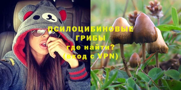 PSILOCYBIN Медногорск