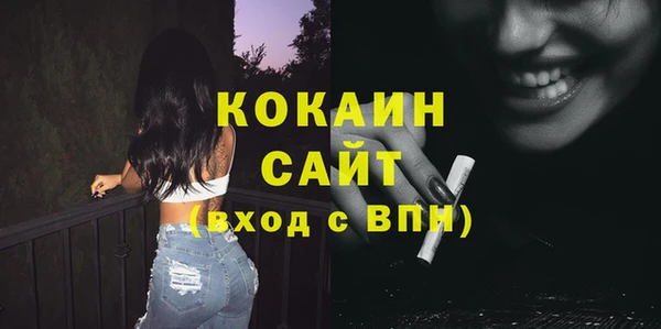 шишки Майский
