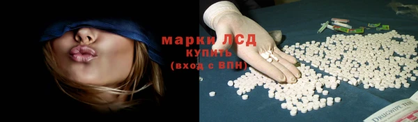 молекула духа Богданович