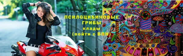 ПСИЛОЦИБИНОВЫЕ ГРИБЫ Абаза